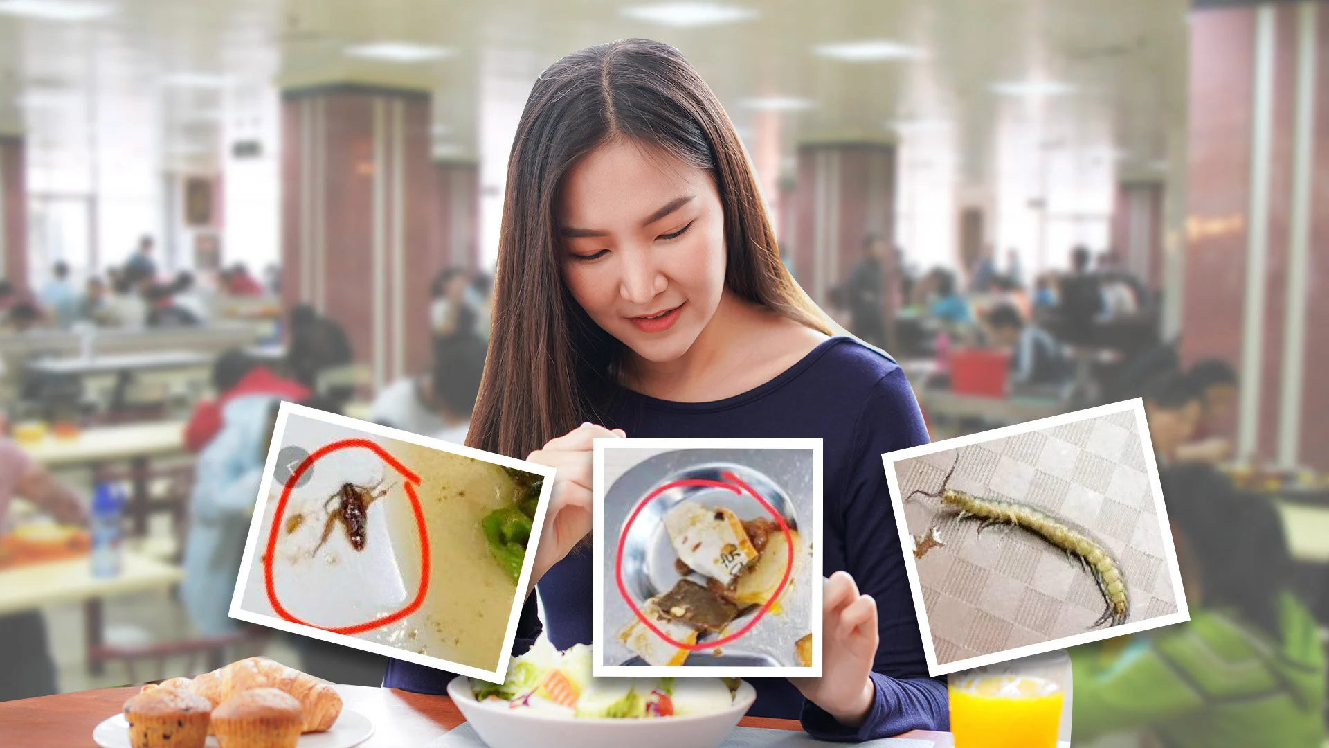 China Culinary Scene: Food Safety and Lawsuits